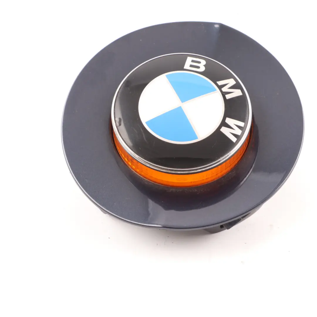 BMW Z4 E85 Fender Turn Indicator Cover Right O/S Badge Emblem Toledo Blue - 482