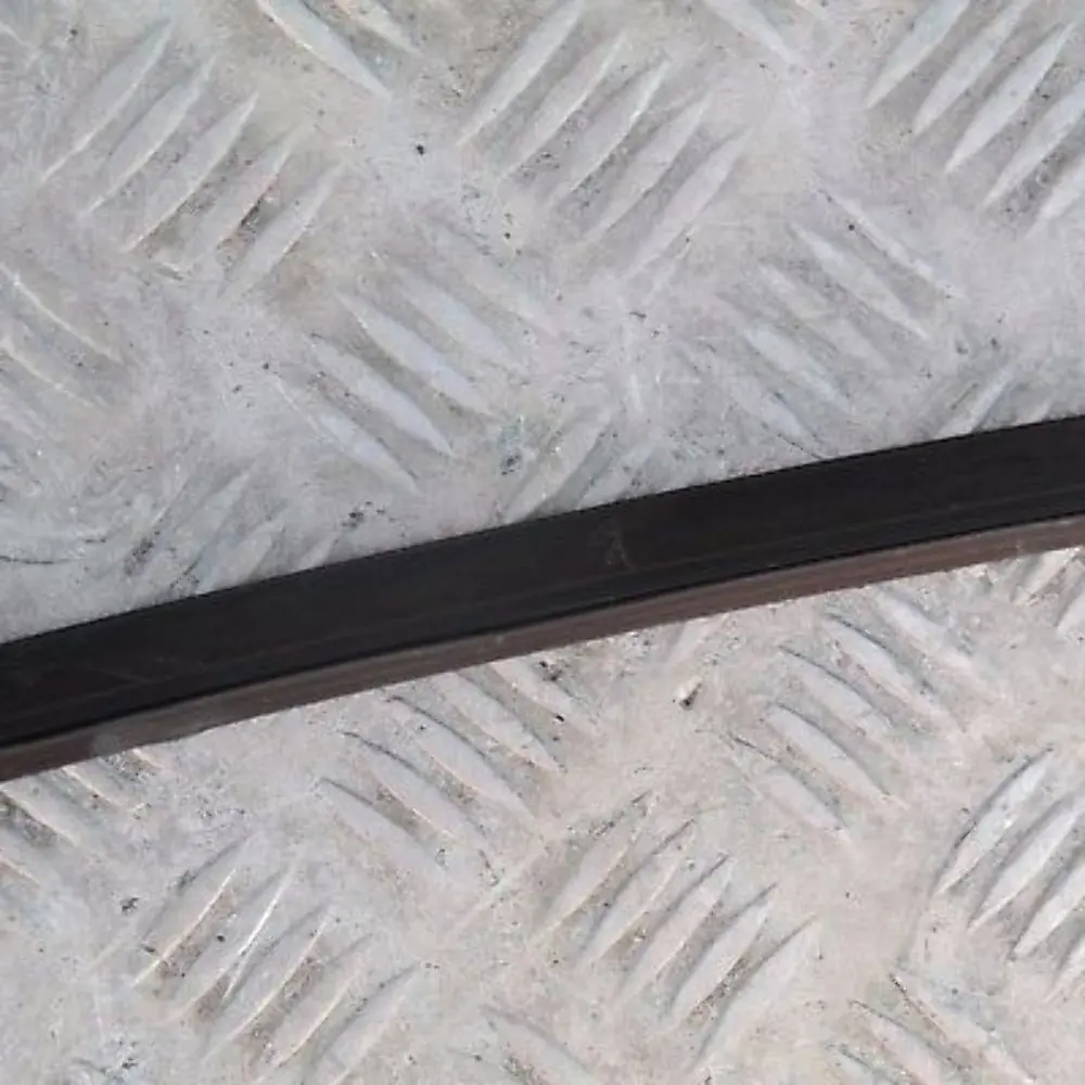 BMW 5 Series E60 E60N Left Roof Moulding Railing Gutter Rail N/S Black Sapphire