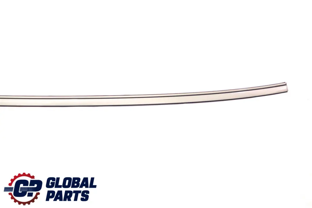 BMW 5 Series E60 Right Roof Moulding Railing Rail O/S Olivin Metallic