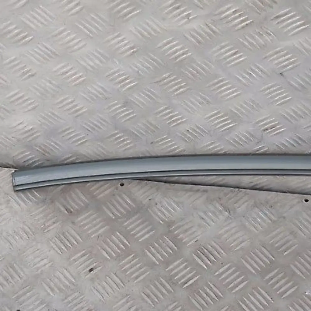 BMW 5 Series E60 Right Roof Moulding Railing Gutter Rail O/S Titangrau II Grey