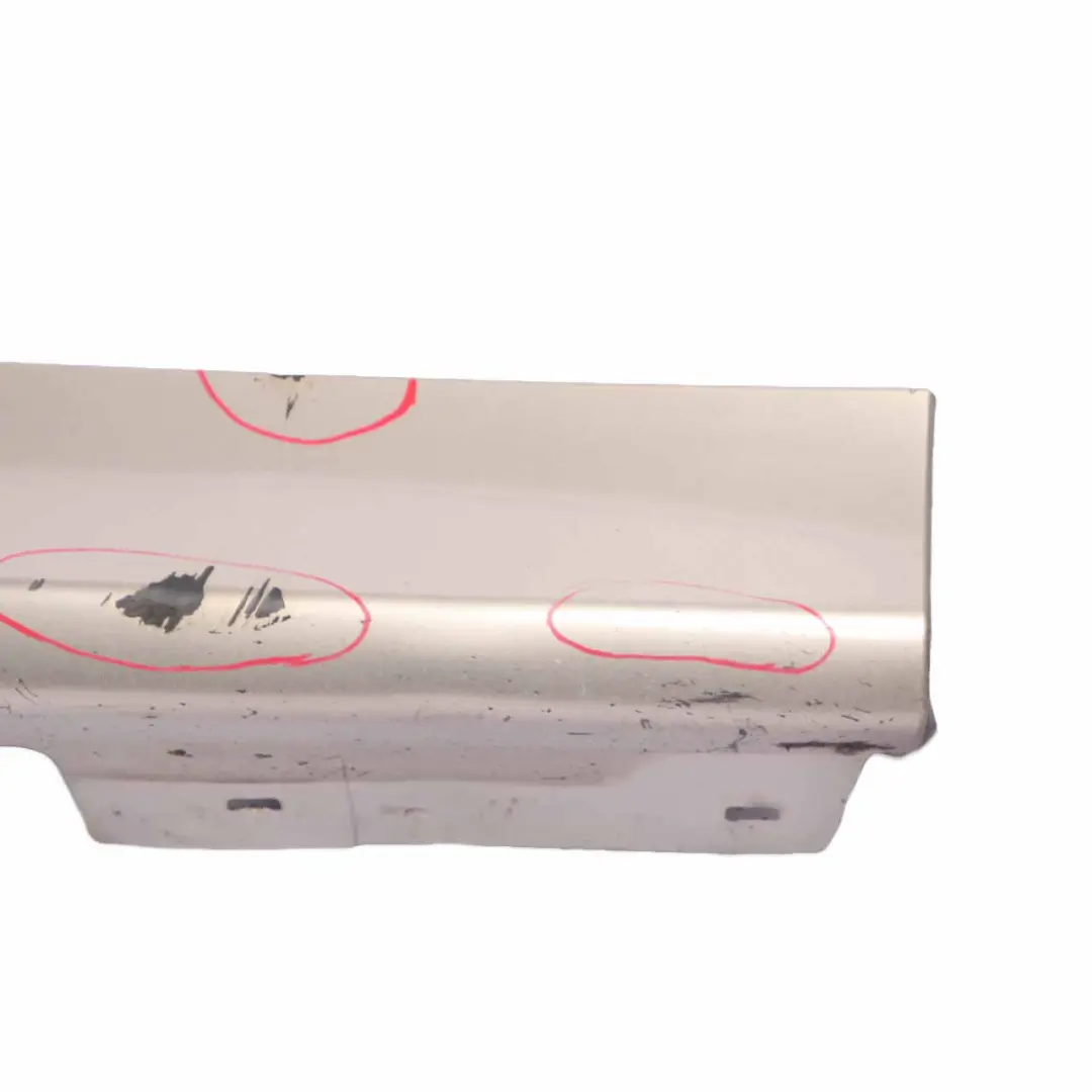 BMW E90 E91 Side Skirt Sill Strip Right O/S Platinbronze Bronze Metallic - A53