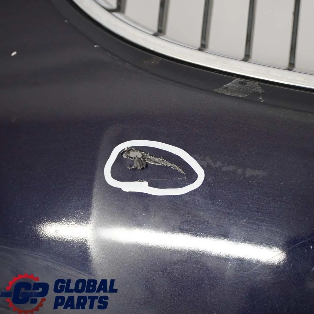 BMW 5 E60 E61 2 Front Bumper Trim Panel Orientblau Orient Blue - 317