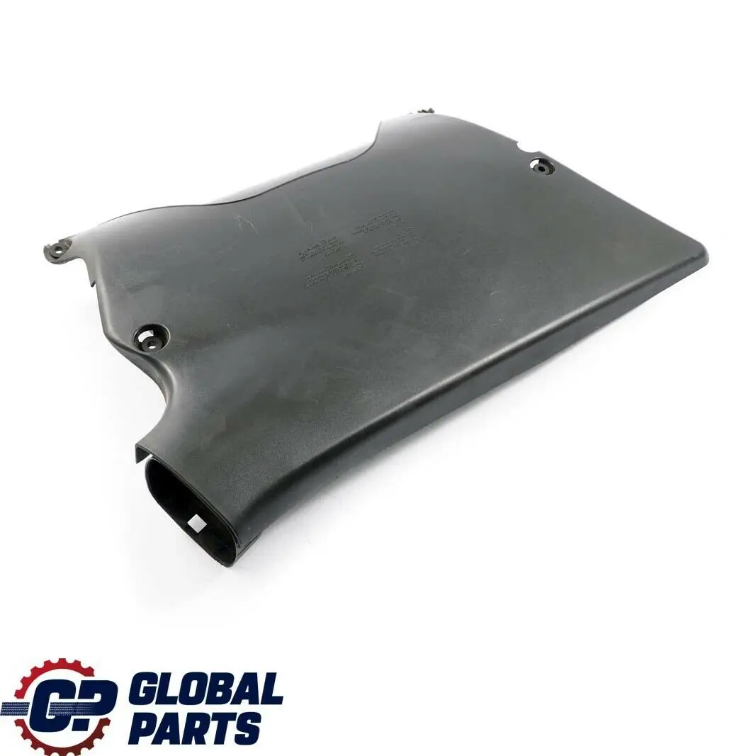 BMW E53 3.0i M54 Frente Slam Panel Admision de Aire Capucha de Aspiracion