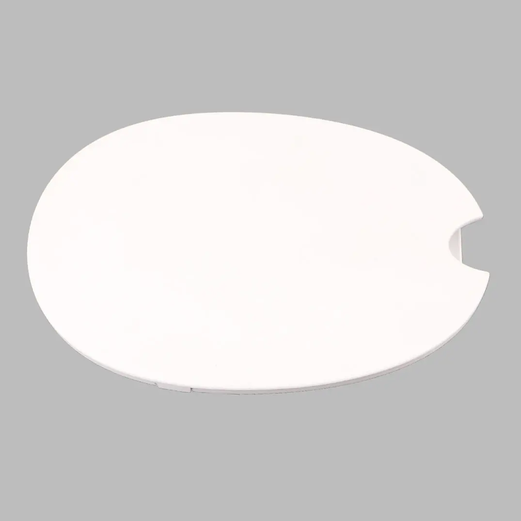 Citroen Dispatch Fuel Filler Fill Flap Tank Cap Cover Banquise White 149782808