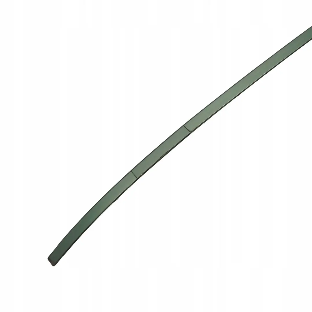 BMW 3 E46 Saloon Left N/S Roof Moulding Trim Strip Meergruen Sea Green - 393