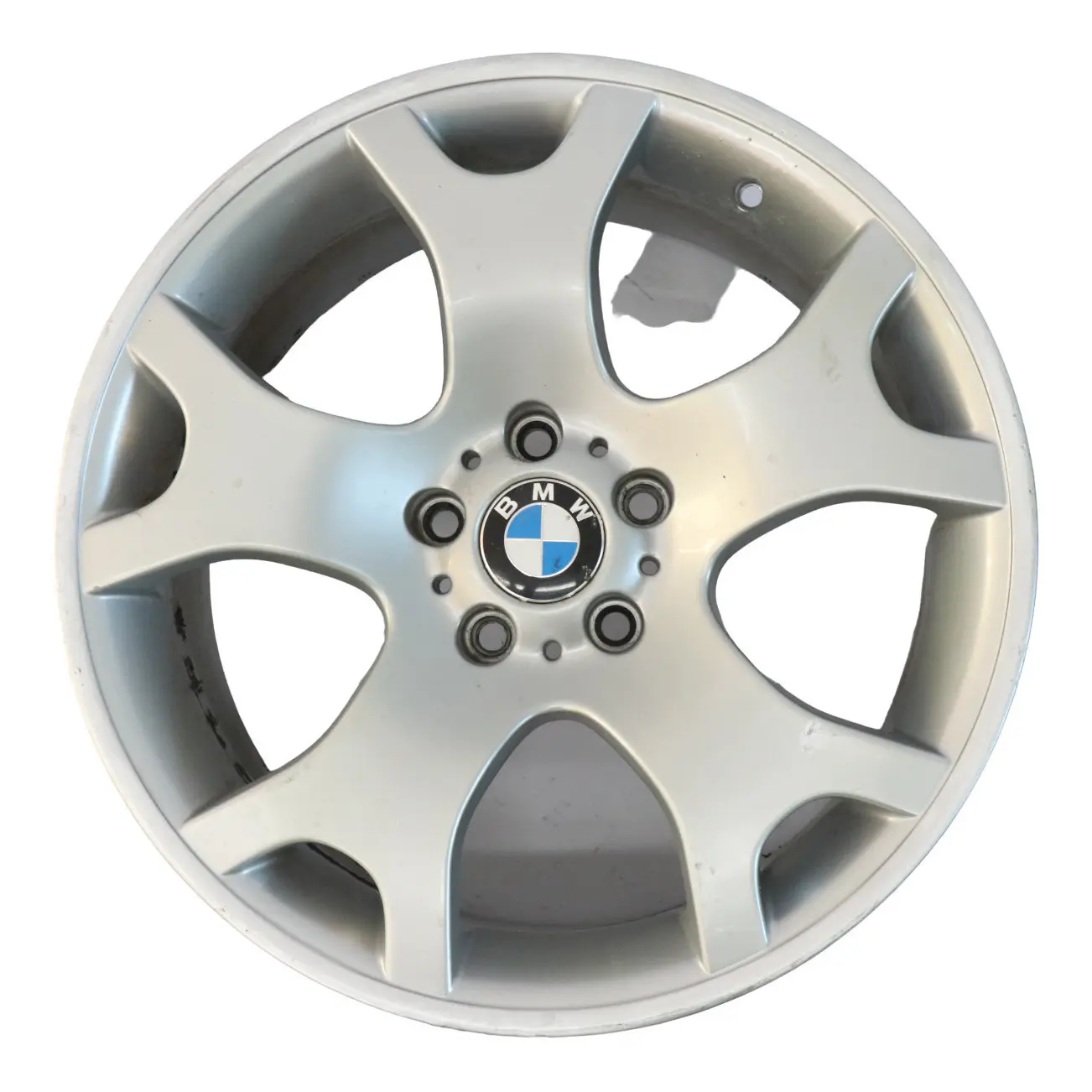 BMW X5 E53 Rear Silver Wheel Alloy Rim 19" V spoke 63 ET:45 10J 1096228