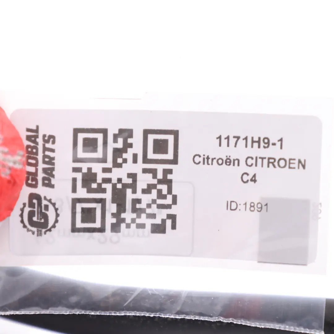 Citroen C4 1.6 HDI Bagnet Miarka Poziomu Oleju 1171H9