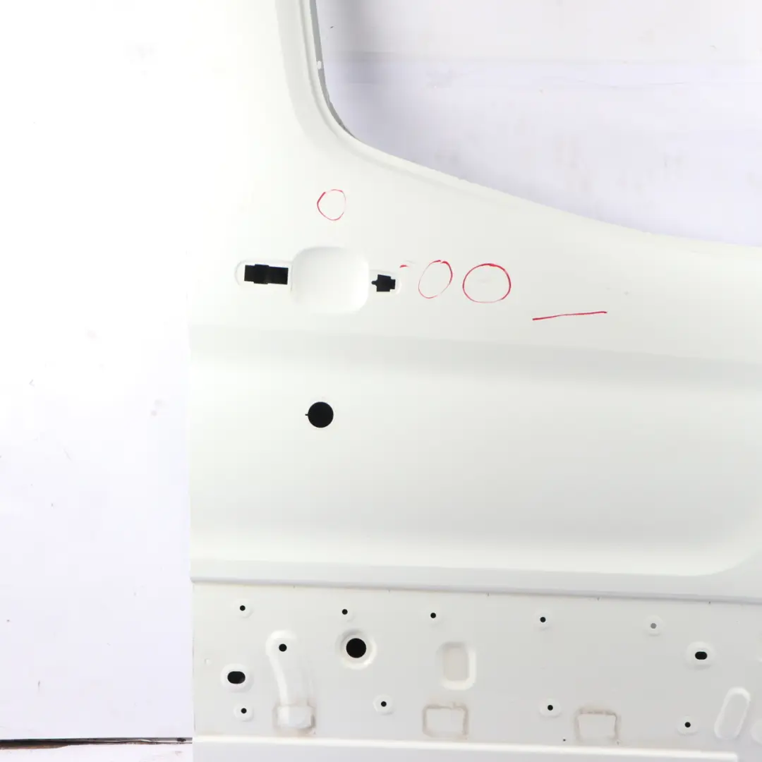 Ford Transit Mk8 Front Door Right O/S Door Cover Shell Frozen White - Z2