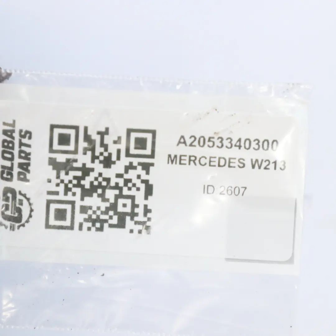 Buje de Rueda Mercedes W205 W213 4matic Delantero Izquierdo A2053340300