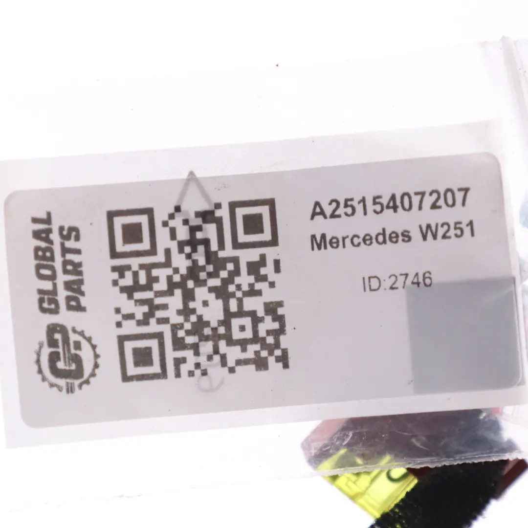  Mercedes W251 Conector del mazo de cables del acoplamiento remolque A2515407207