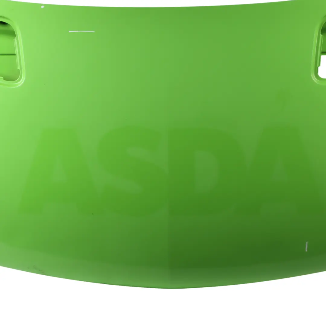 Mercedes Sprinter W907 Hood Bonnet Covering Leaf Green Light - 6339