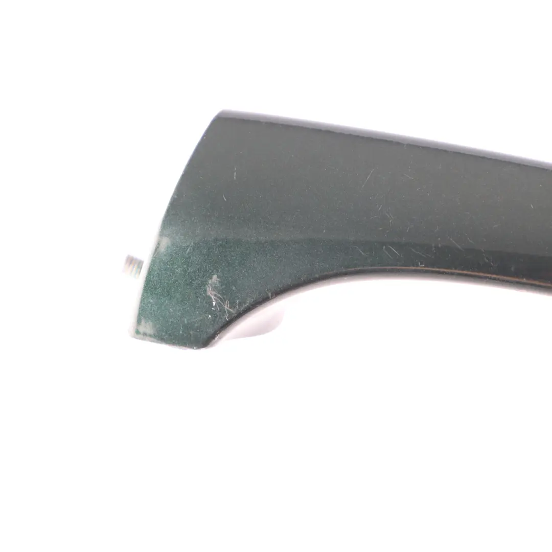 BMW X5 Series E53 Front Rear Left Door N/S Handle Grab Catch Cover Oxford Green