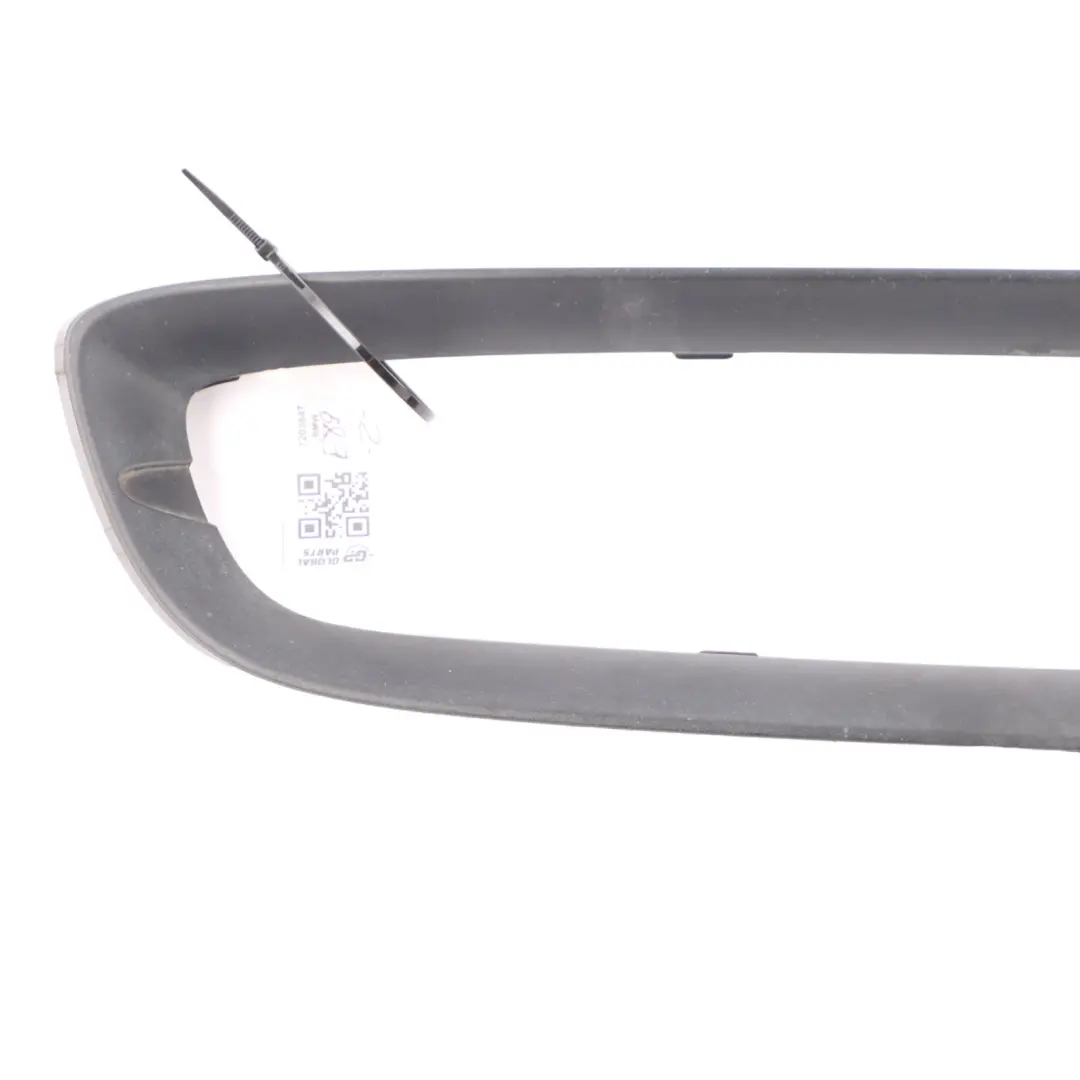 BMW Z4 E89 Grille Frame Front Bumper Lower Left N/S Cover Schwarz Silber 7203847