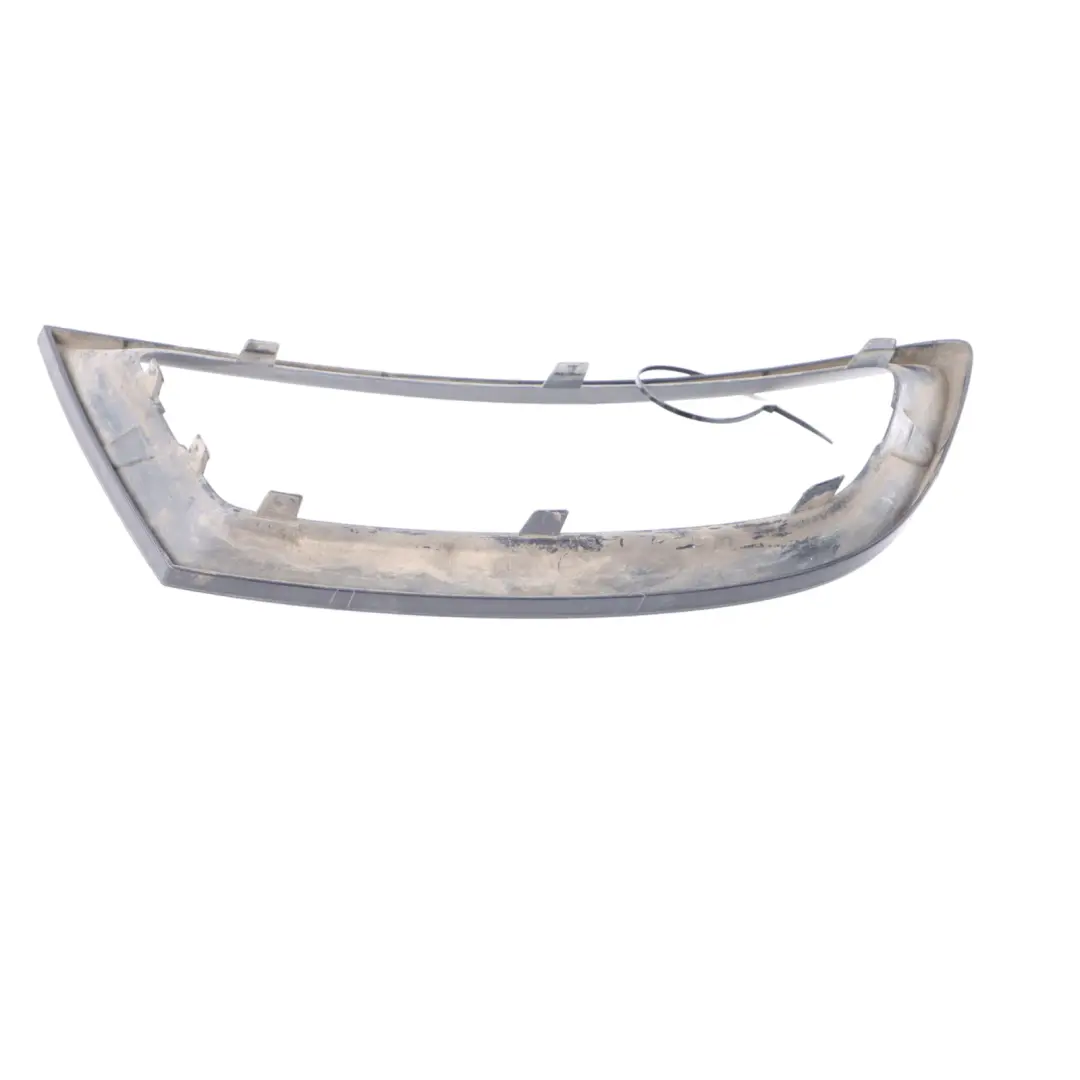 BMW Z4 E89 Grille Frame Front Bumper Lower Left N/S Cover Schwarz Silber 7203847