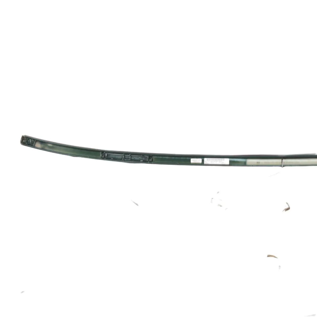 BMW I4 G26 Roof Rail Strip Left N/S Railing Moulding Trim Strip San Remo Green