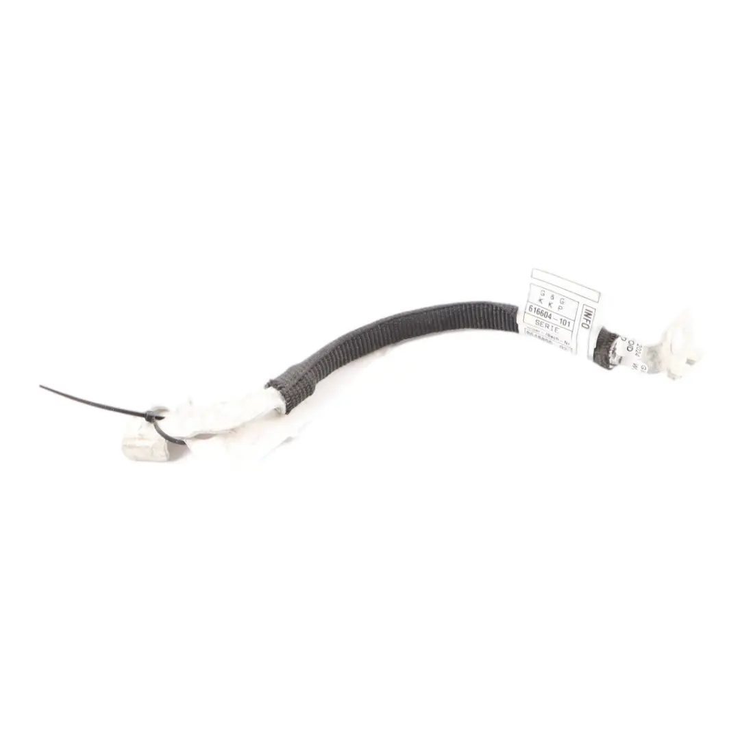 BMW F39 F45 F48 F49 Mini Cooper F60 Erdungs Kabel 8648856