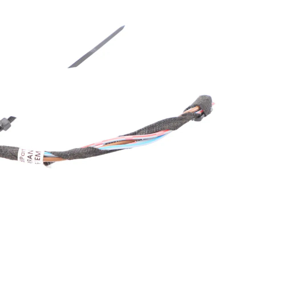 BMW X1 F48 Rear Light Lamp Boot Tailgate Left N/S Loom Wiring Harness 7350698