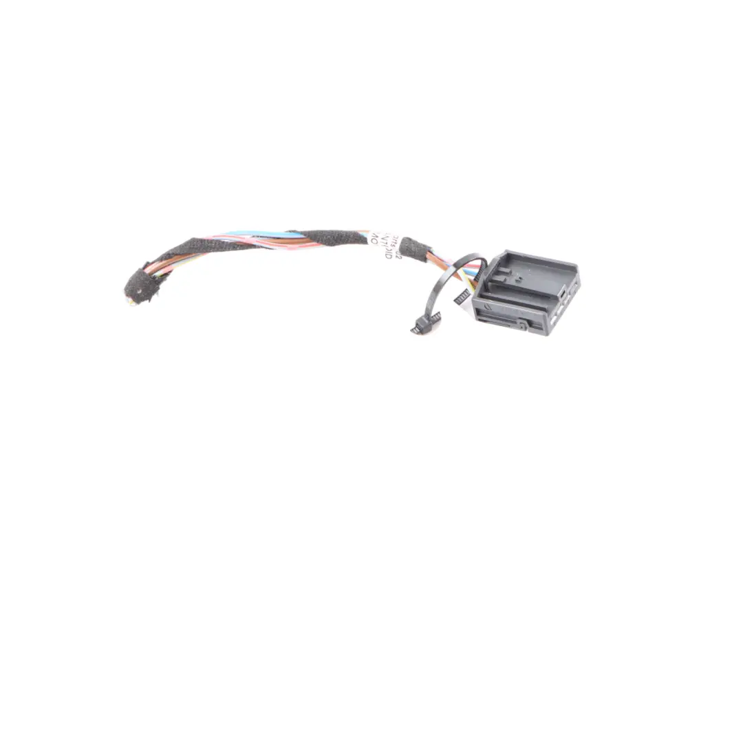 BMW X1 F48 Rear Light Lamp Boot Tailgate Left N/S Loom Wiring Harness 7350698
