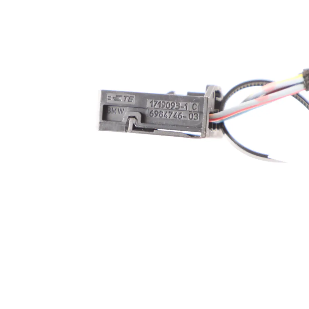 BMW X1 F48 Rear Light Lamp Boot Tailgate Left N/S Loom Wiring Harness 7350698