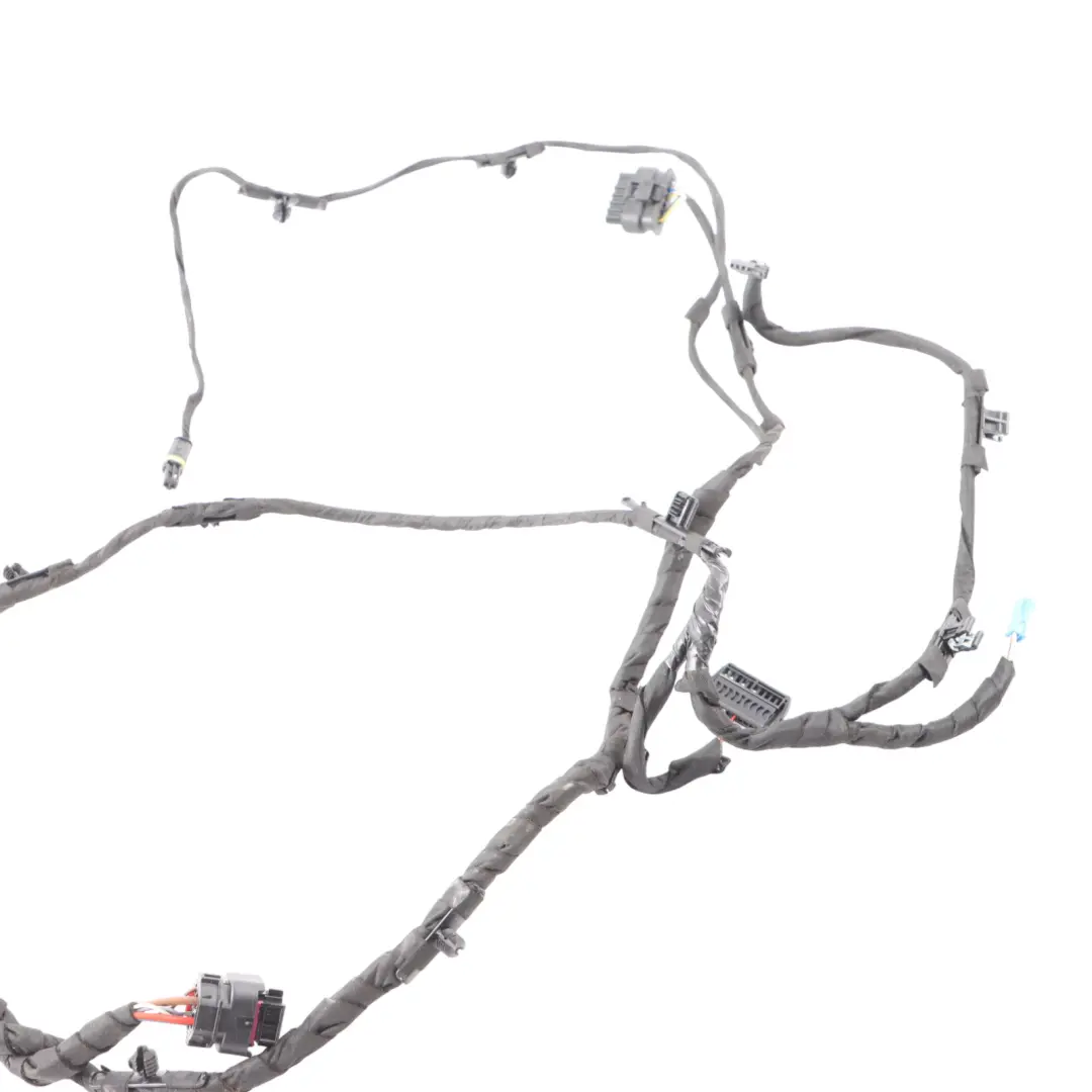 BMW F44 Gran Coupe Door Wiring Harness Rear Door Right Left N/O/S 8727996