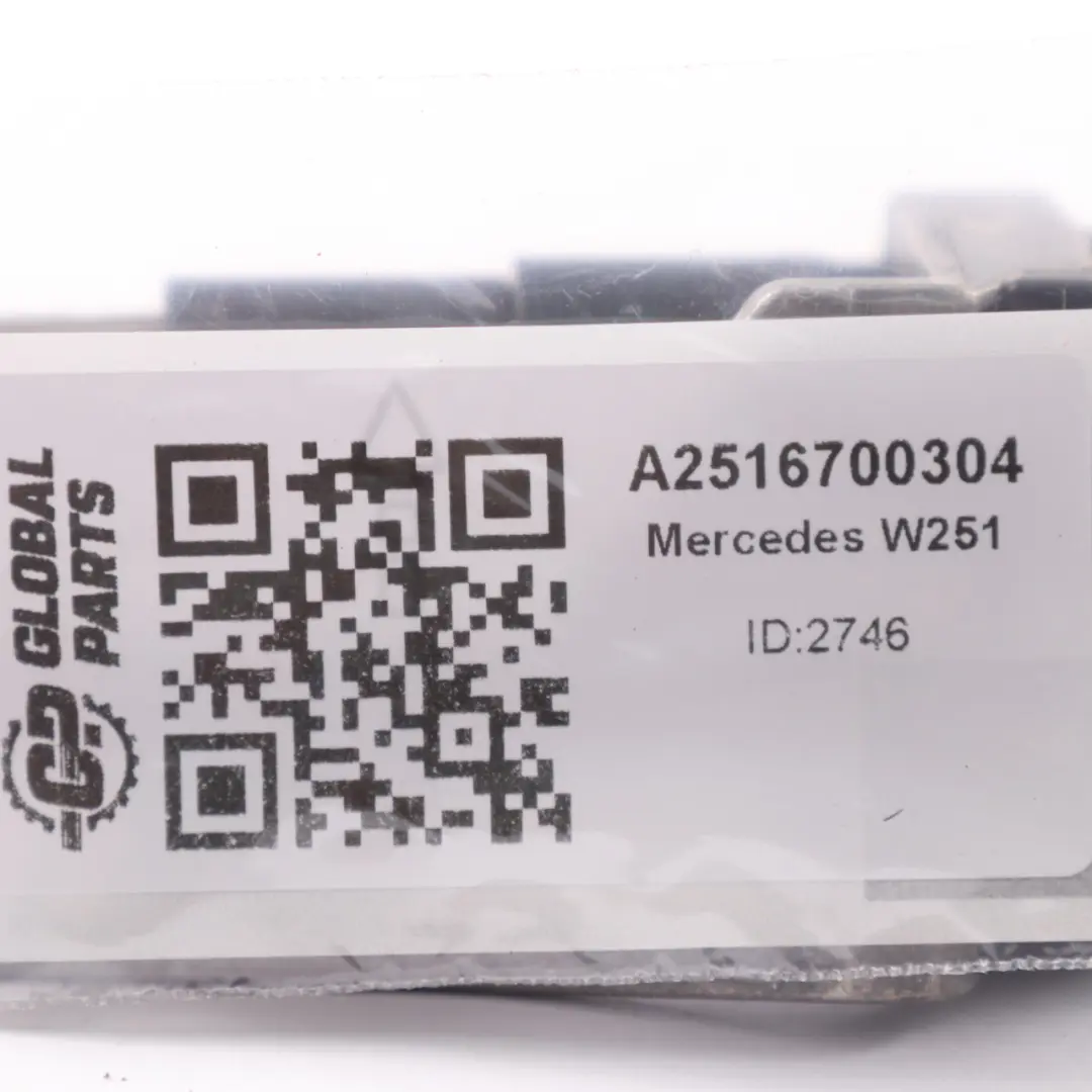 Mercedes W251 Seitenscheibenversteller Hinten Links A2516700304