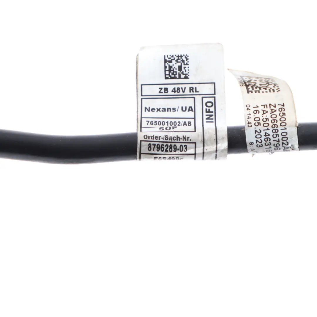 Negative Cable BMW X3 G01 X4 G02 X5 G05 Battery Terminal Wire Wiring 8796289
