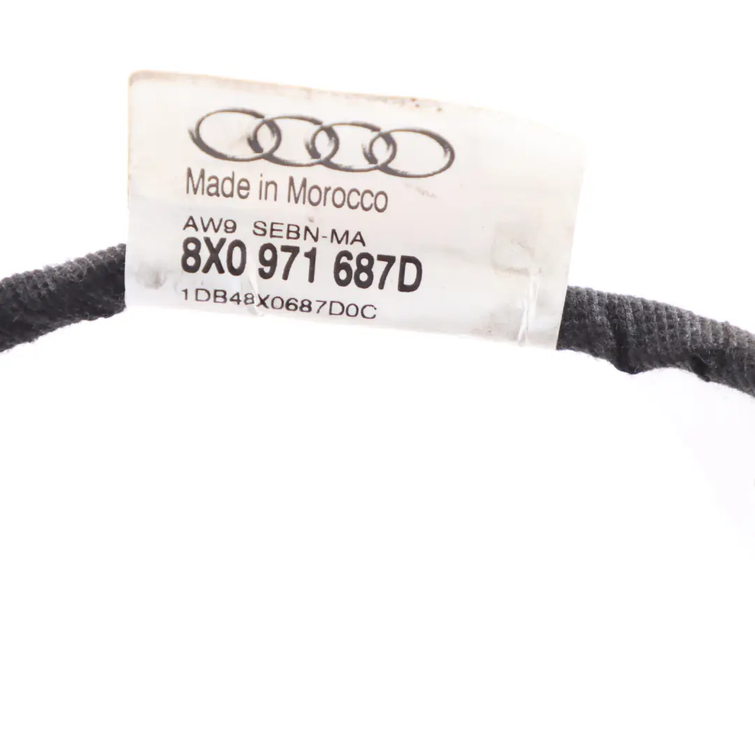 Audi A1 8X Puerta Trasera Arnés Izquierdo Cableado Loom 8X0971687C