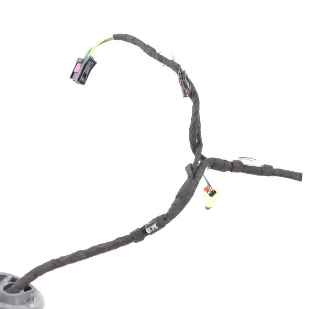 Audi A1 8X Front Passenger Door Wiring Left N/S Harness Loom Cable 8X2971030K