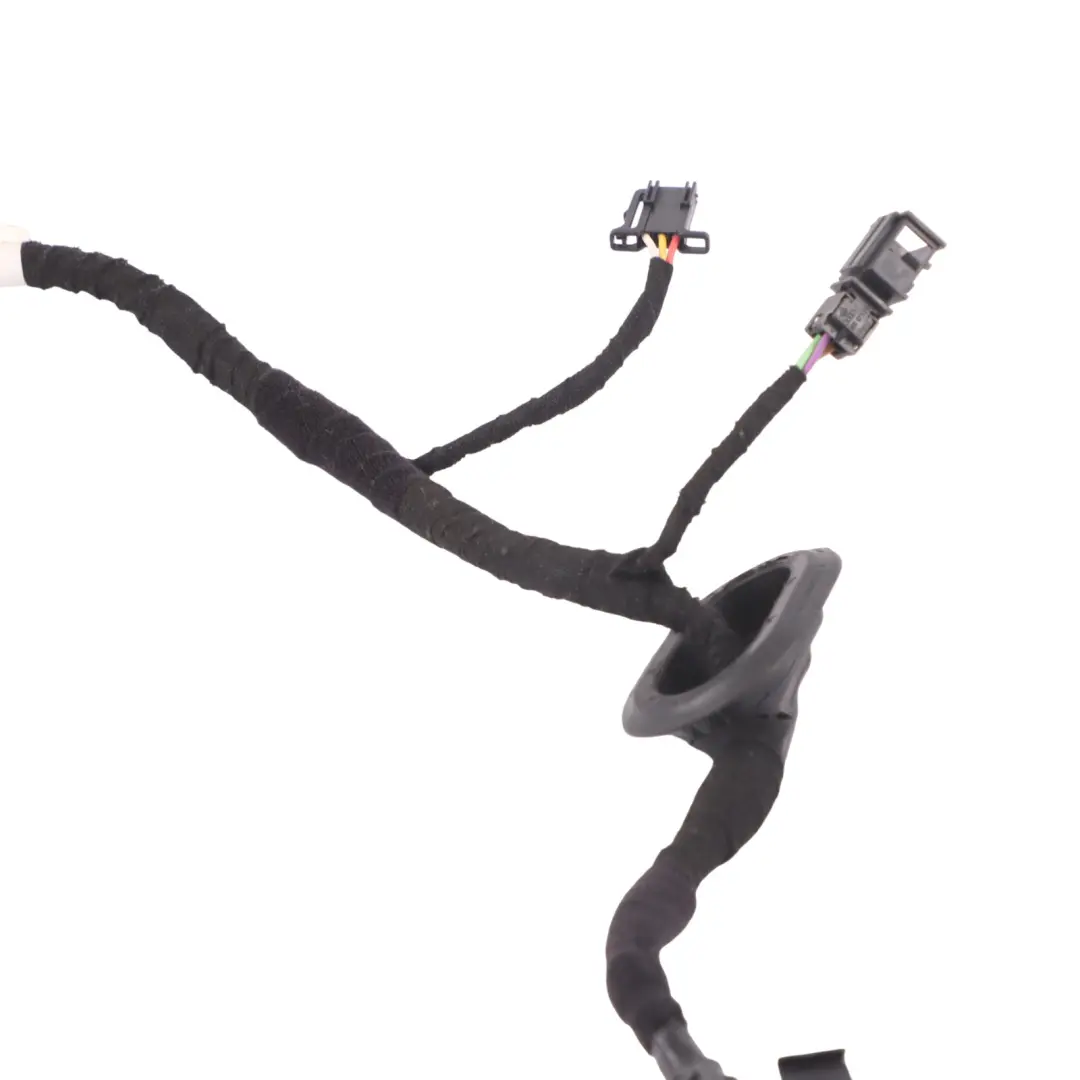 VW Golf 1K 5D Mazo de cables de la puerta delantera izquierda 1K0971121CN