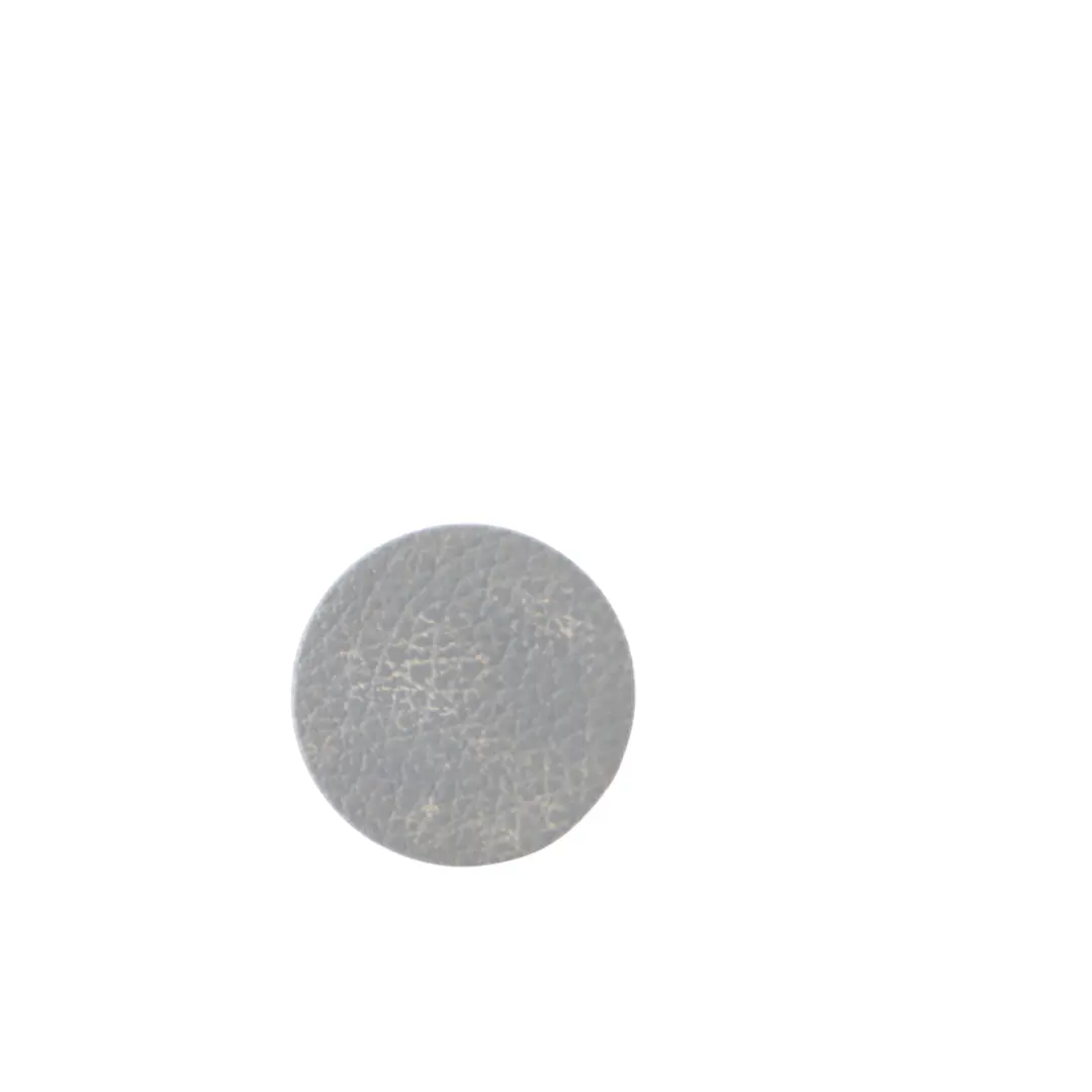Mercedes W906 Emergency Unlocking Mechanism Trim Cover Insert A9066892008