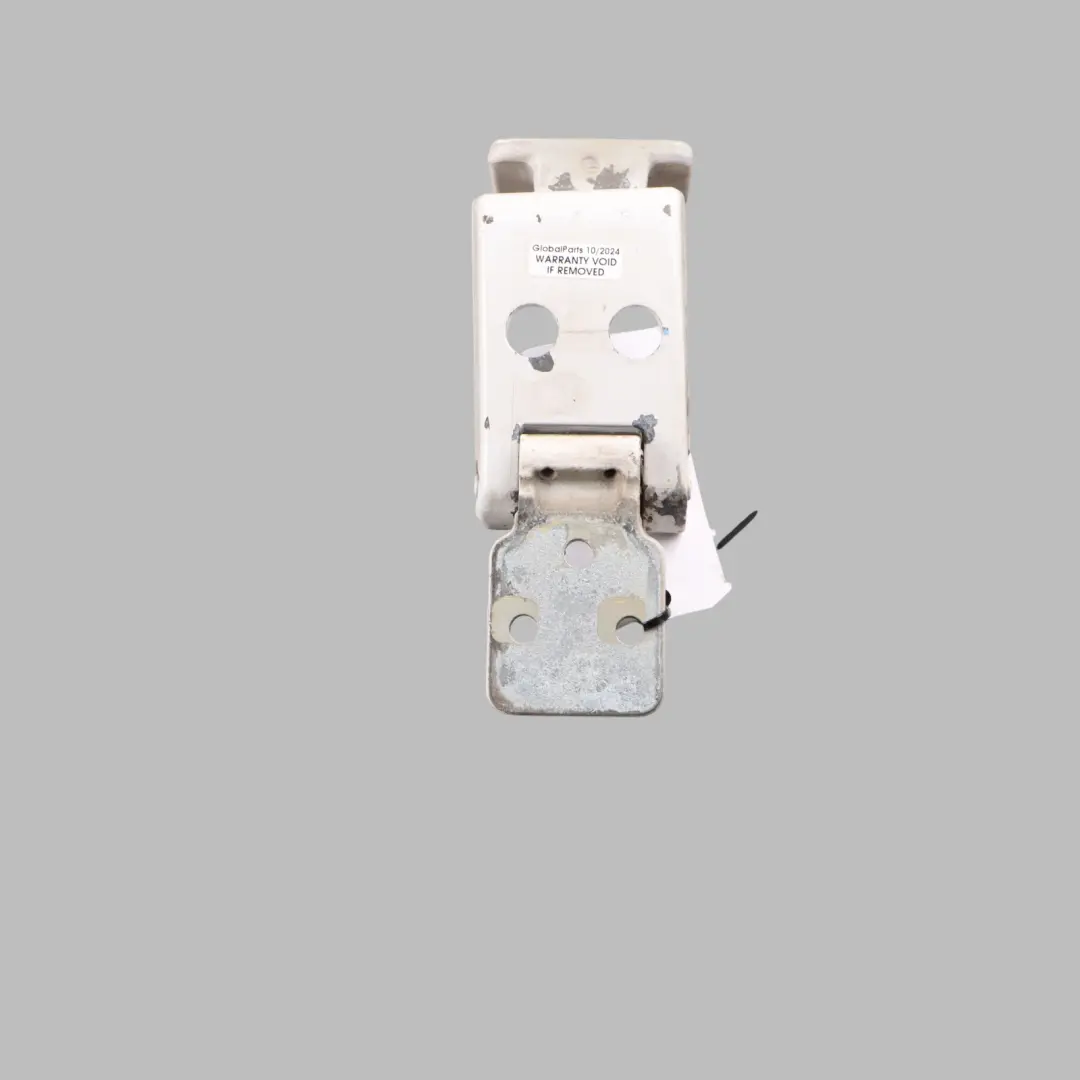 Mercedes W906 Crafter I Door Lower Hinge Rear Left N/S Arctic White A9067400637