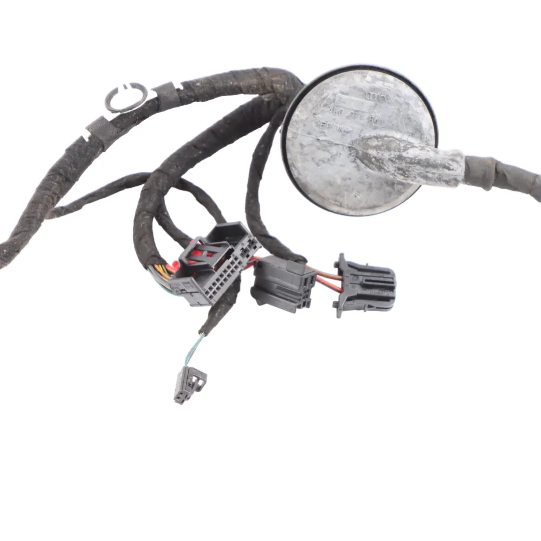 Audi S5 8T Front Door Wiring Harness Cable Loom Left N/S 8T2971029J