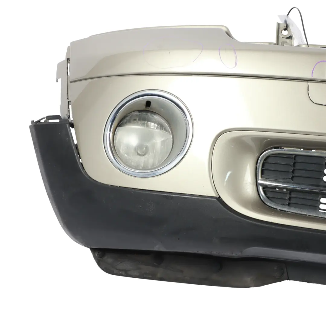 Mini R55 R56 Front Bumper Complete Trim Panel Sparkling Silver Metallic - A60