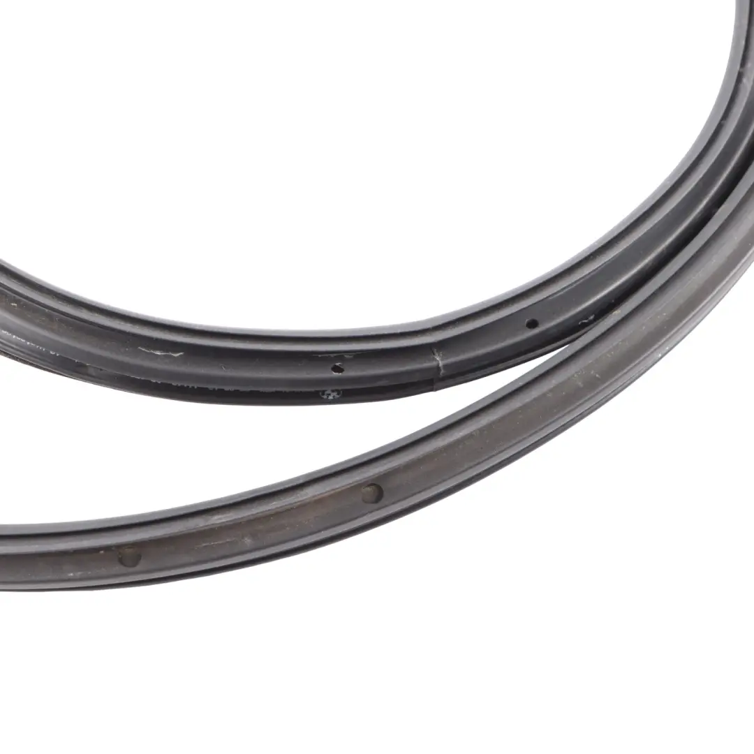 BMW F06 Rear Door Weather Strip Gasket Seal Rubber Left N/S 7328771