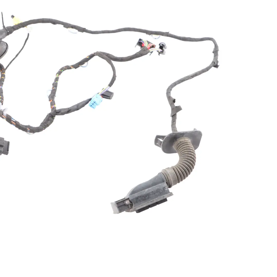 Audi RS3 8V Front Passenger Door Wiring Left N/S Harness Loom Cable 8V4971030G