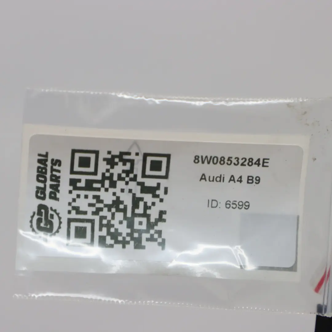 Audi A4 B9 Vorder Tür äußere Zierleiste Dichtung Streifen Rechts 8W0853284E