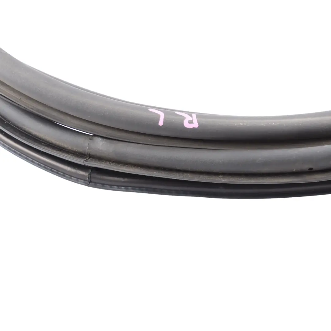 Audi S1 8X Door Window Seal Gasket Rubber Rear Left N/S 8X4833721C