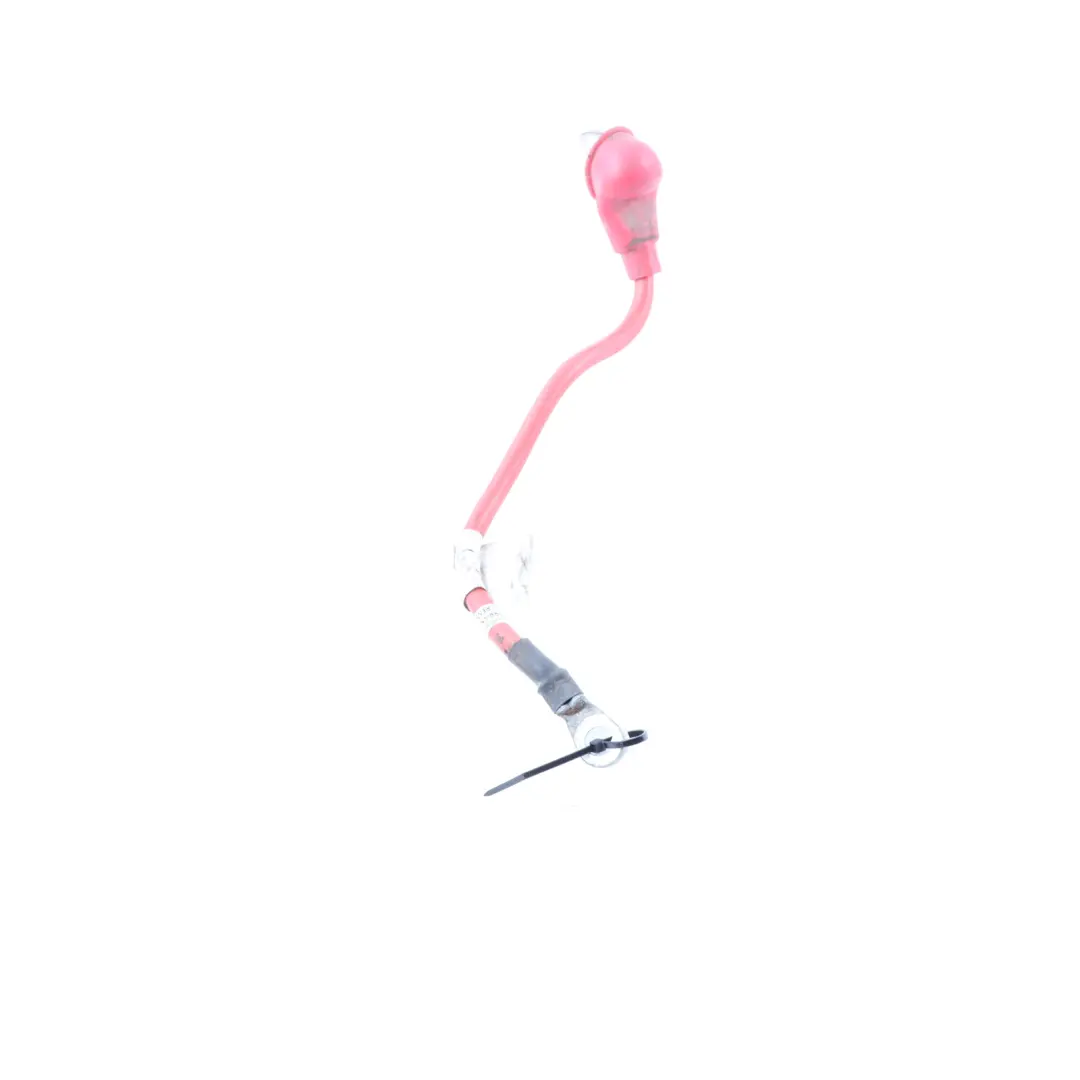 Trefor Tripl Cargo Scooter RMS Fuse Cable Electrical Loom Wiring T15900205