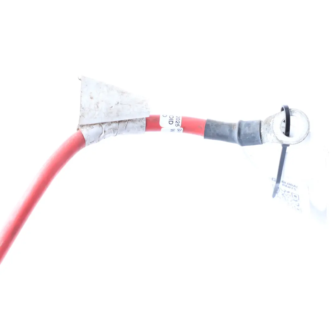 Trefor Tripl Cargo Scooter RMS Fuse Cable Electrical Loom Wiring T15900205