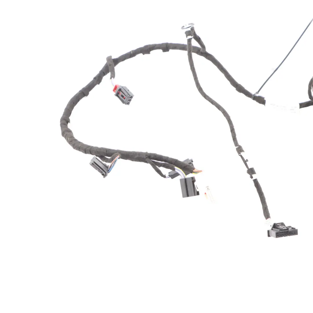 Audi RSQ3 F3 Door Wiring Harness Loom Rear Left N/S Cabling 83A971687L