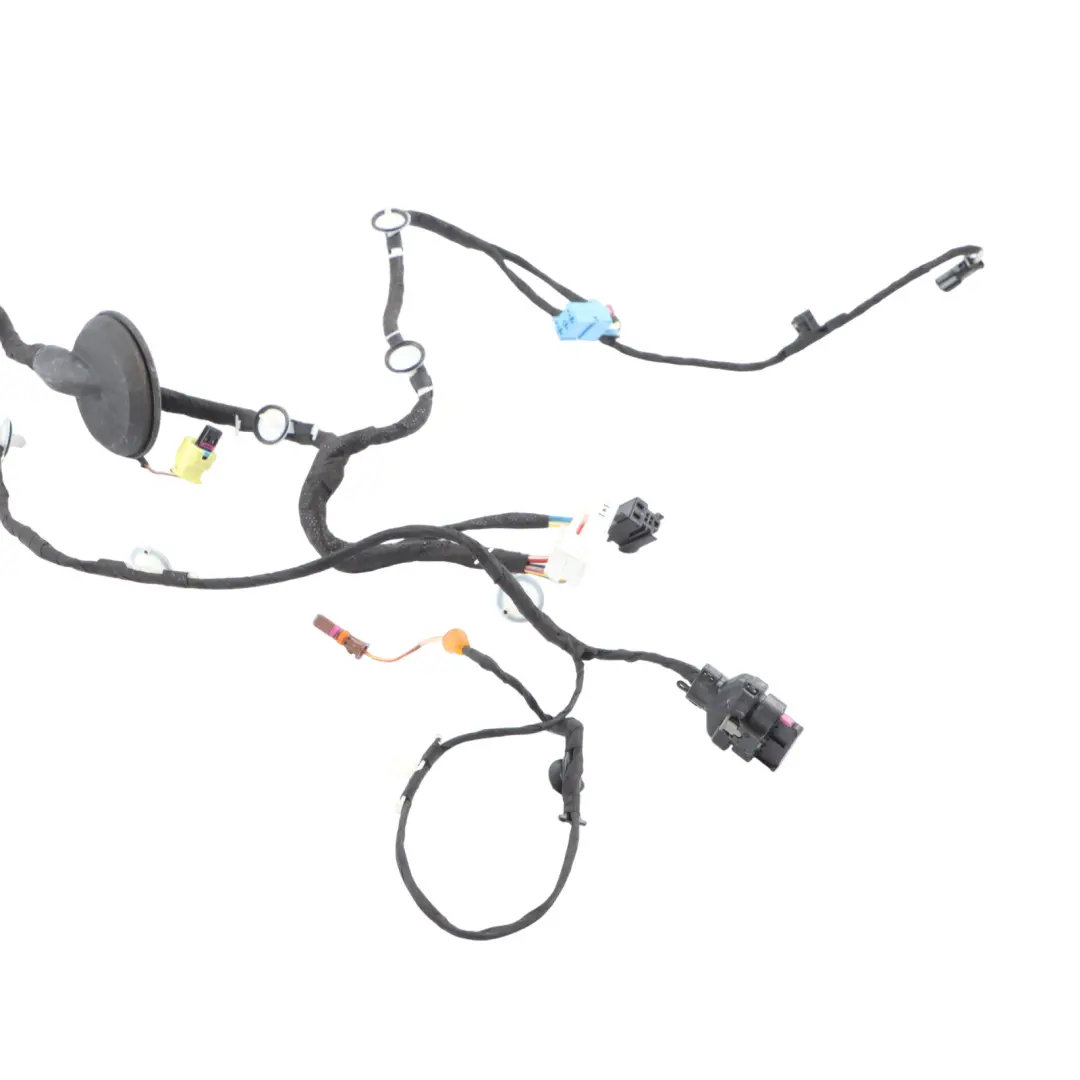 Audi A5 F5 Front Passenger's Door Wiring Harness Loom 8W8971030D