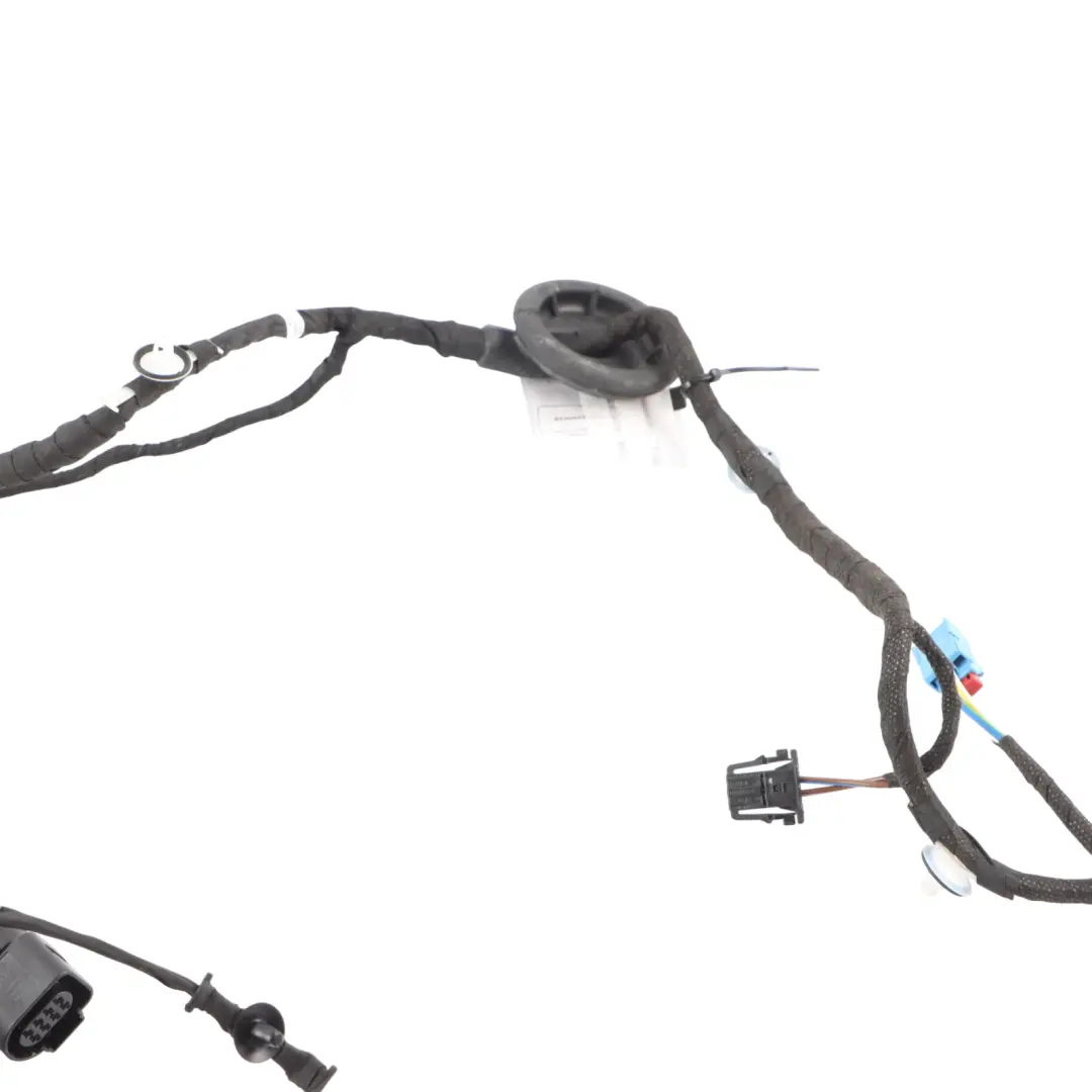 Audi A5 F5 Sportback Puerta Mazo De Cables Trasero Izquierdo 8W8971687M