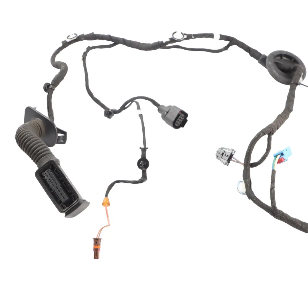 Audi A5 F5 Sportback Puerta Mazo De Cables Trasero Izquierdo 8W8971687M