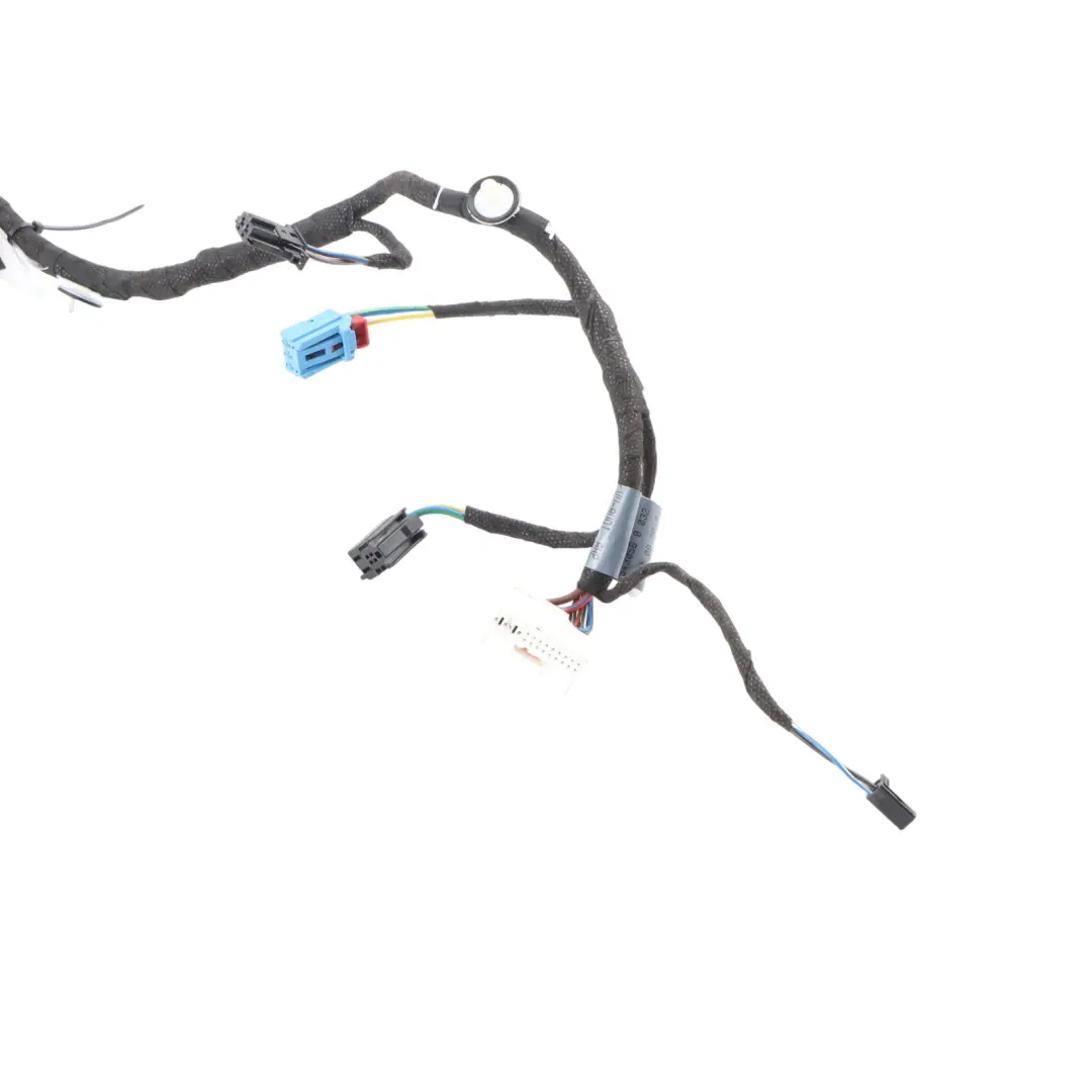 Audi A5 F5 Sportback Puerta Mazo De Cables Trasero Izquierdo 8W8971687M