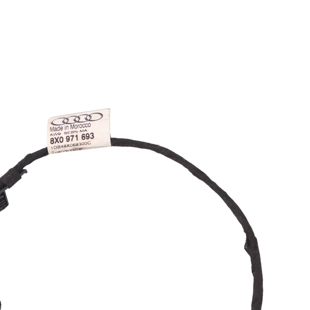 Cableado puerta Audi A1 8X mazo cables trasero izquierdo derecho 8X0971693