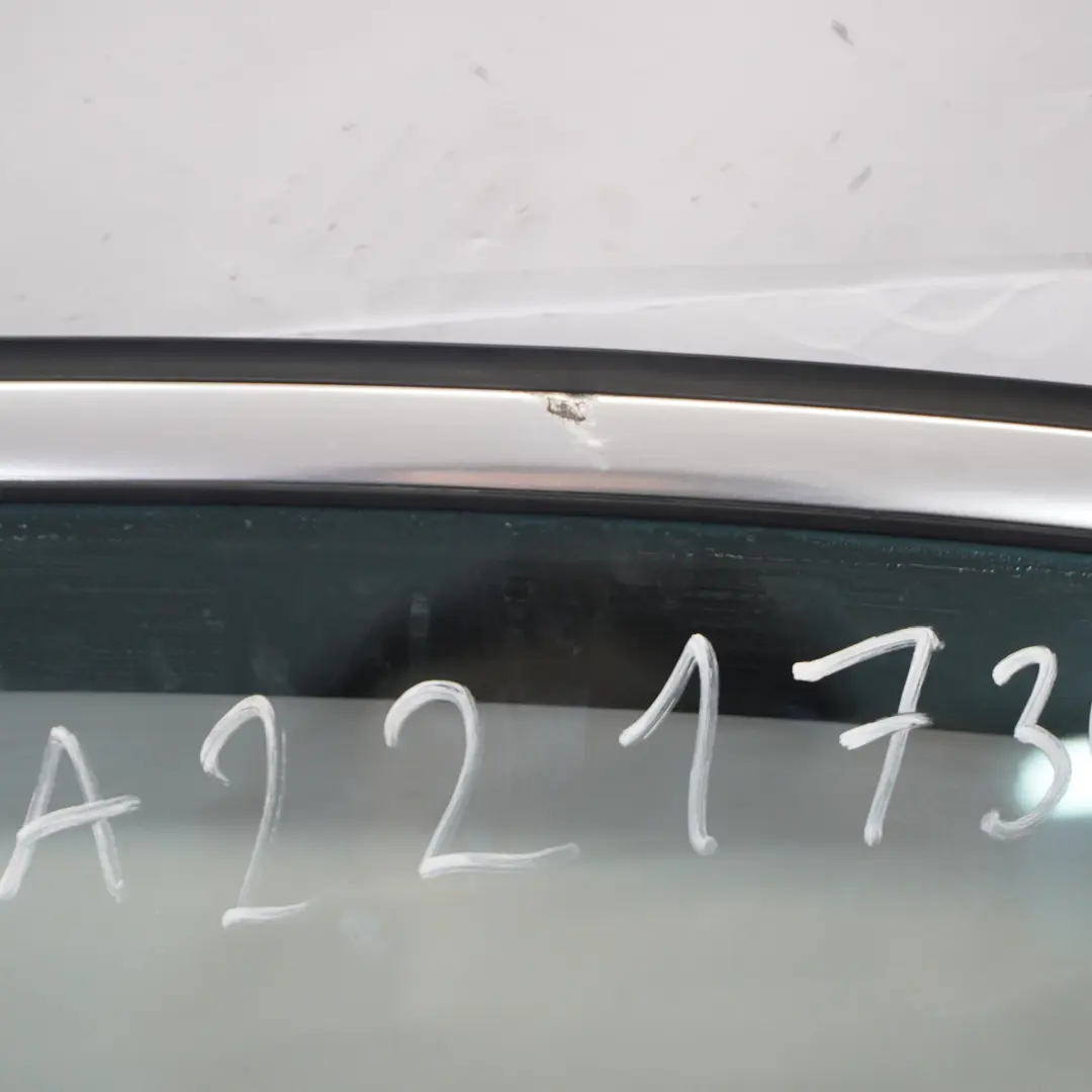 Mercedes W221 Long Rear Left Door N/S Door Covering Schwarz Black - 040