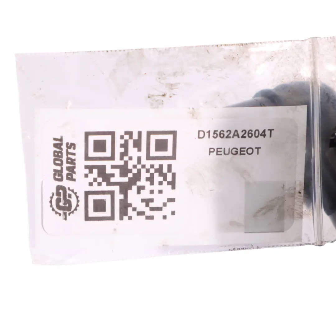 Peugeot 307 206 Citroen C3 C4 1.6 HDI Diesel Vacuum Pump Bosch D156-2A