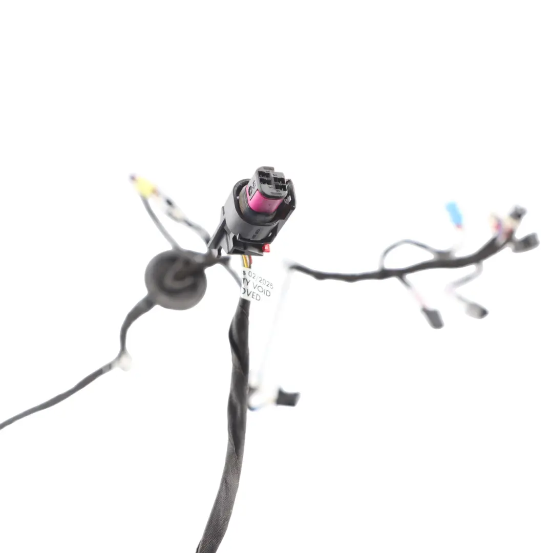 Audi RSQ3 F3 Front Door Wiring Harness Loom Cable Left N/S 83A971030QL