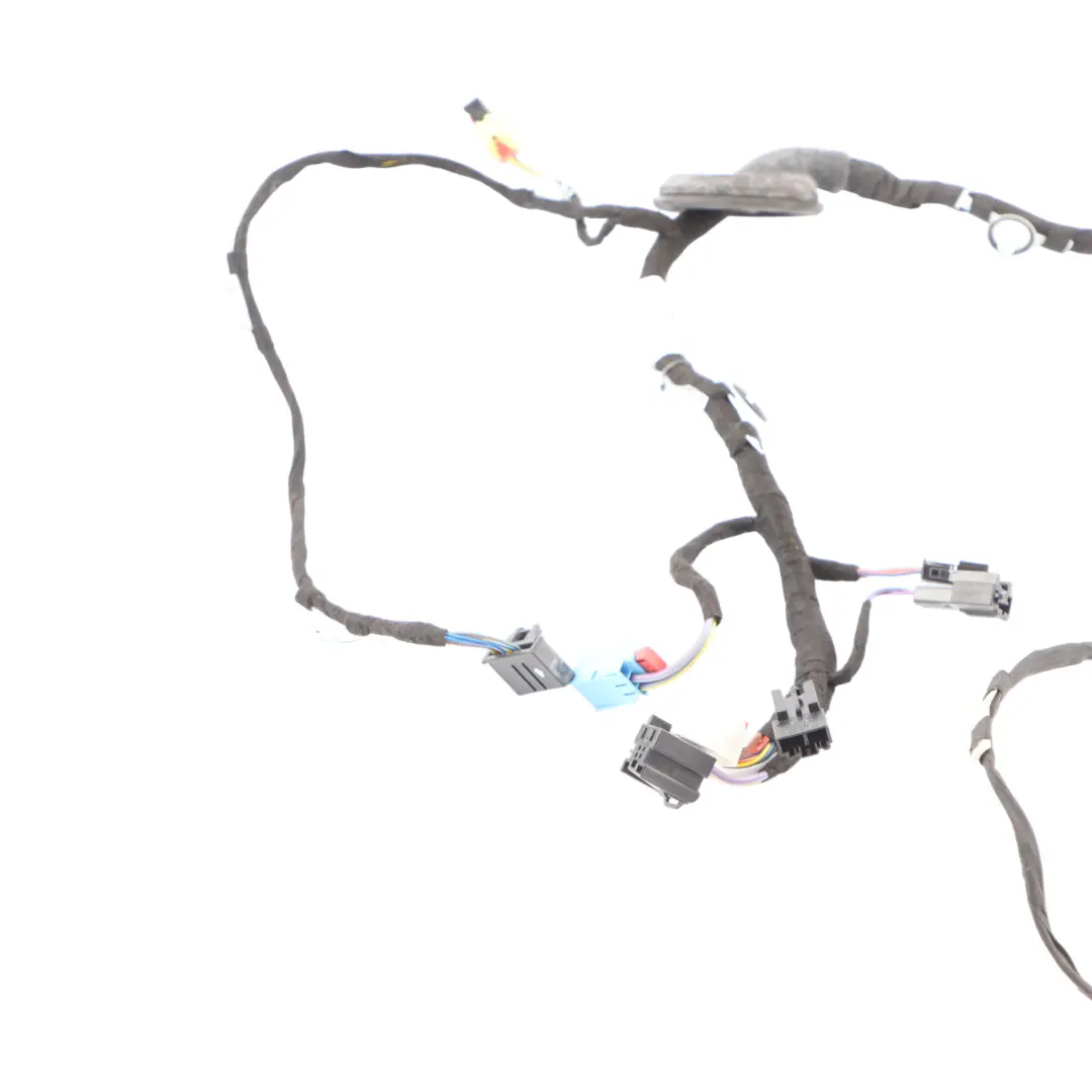 Audi RSQ3 F3 Front Door Wiring Harness Loom Cable Left N/S 83A971030QL