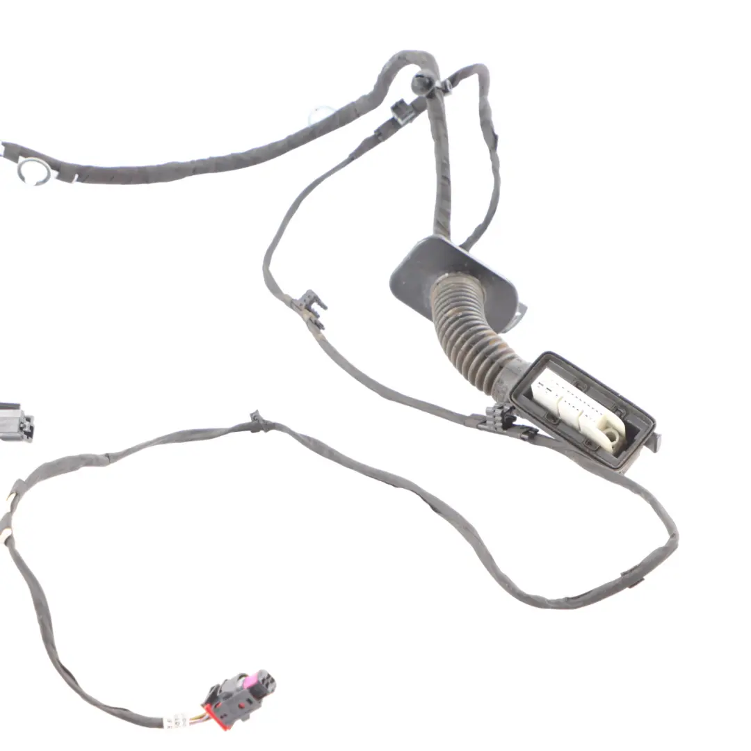 Audi RSQ3 F3 Front Door Wiring Harness Loom Cable Left N/S 83A971030QL